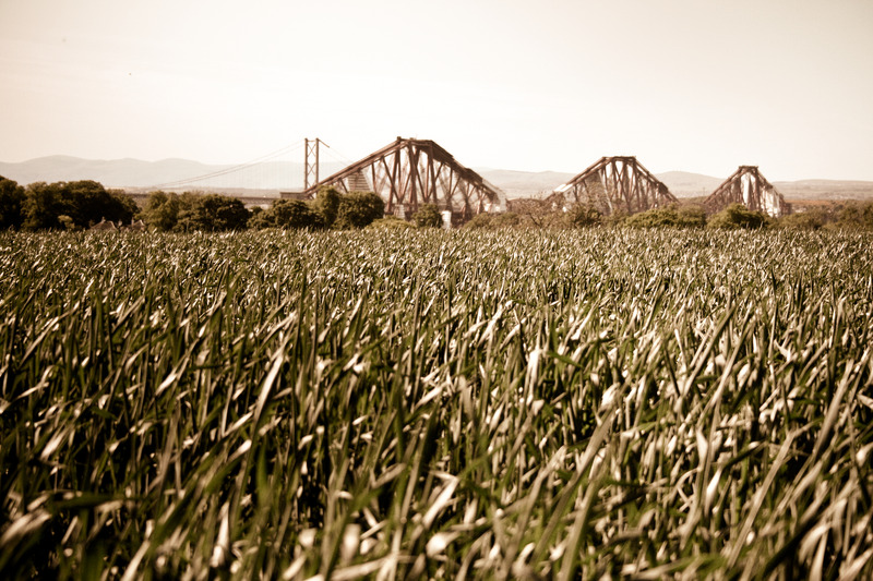 Forth Bridge (2 of 70).jpg